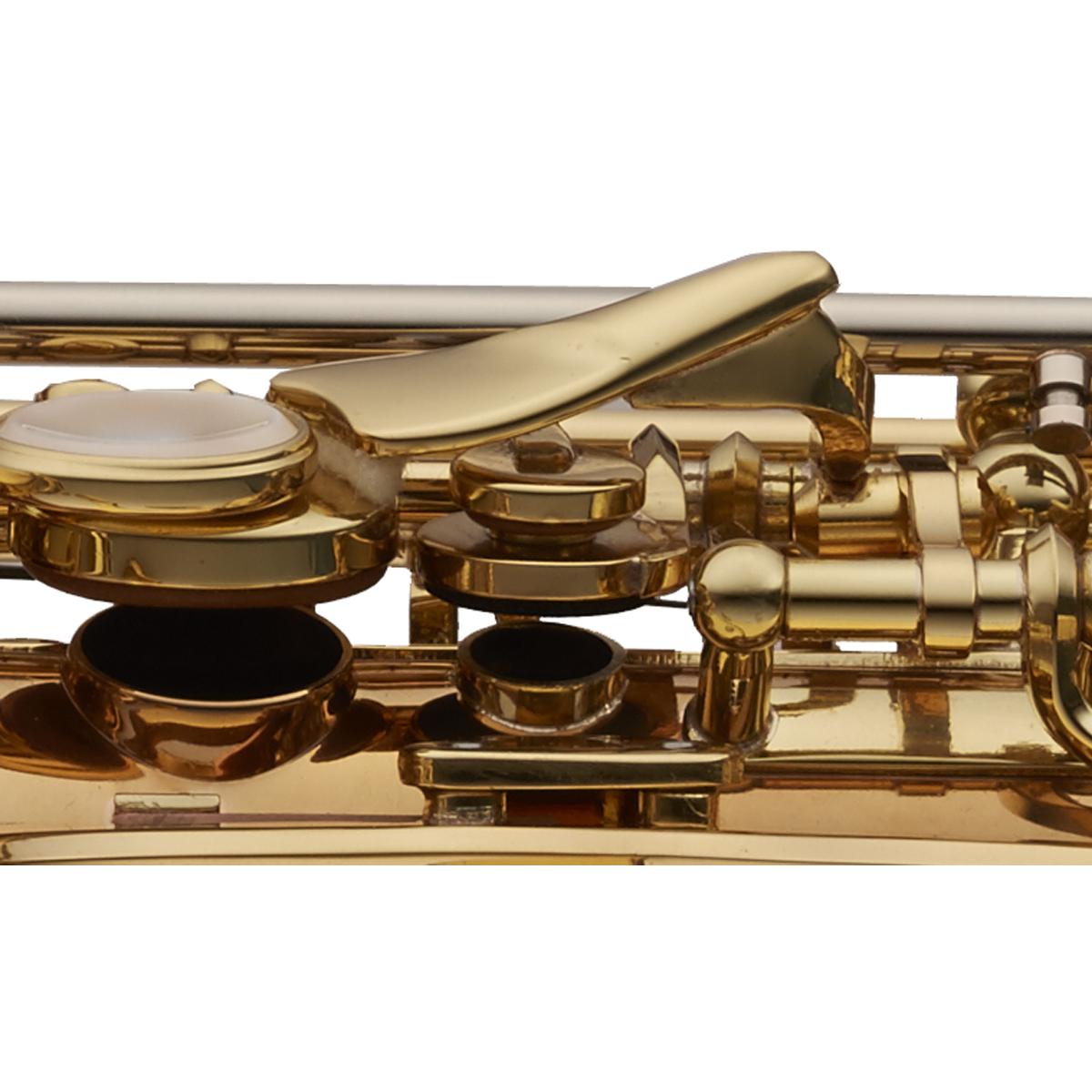 Clé de FA frontale de profil